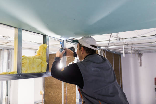 Best DIY Insulation Kits and Guidance in Terrell, TX